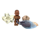 Cloth Pelvic Model Set With Fetal Model-Teaching Aids-Birth Supplies Canada