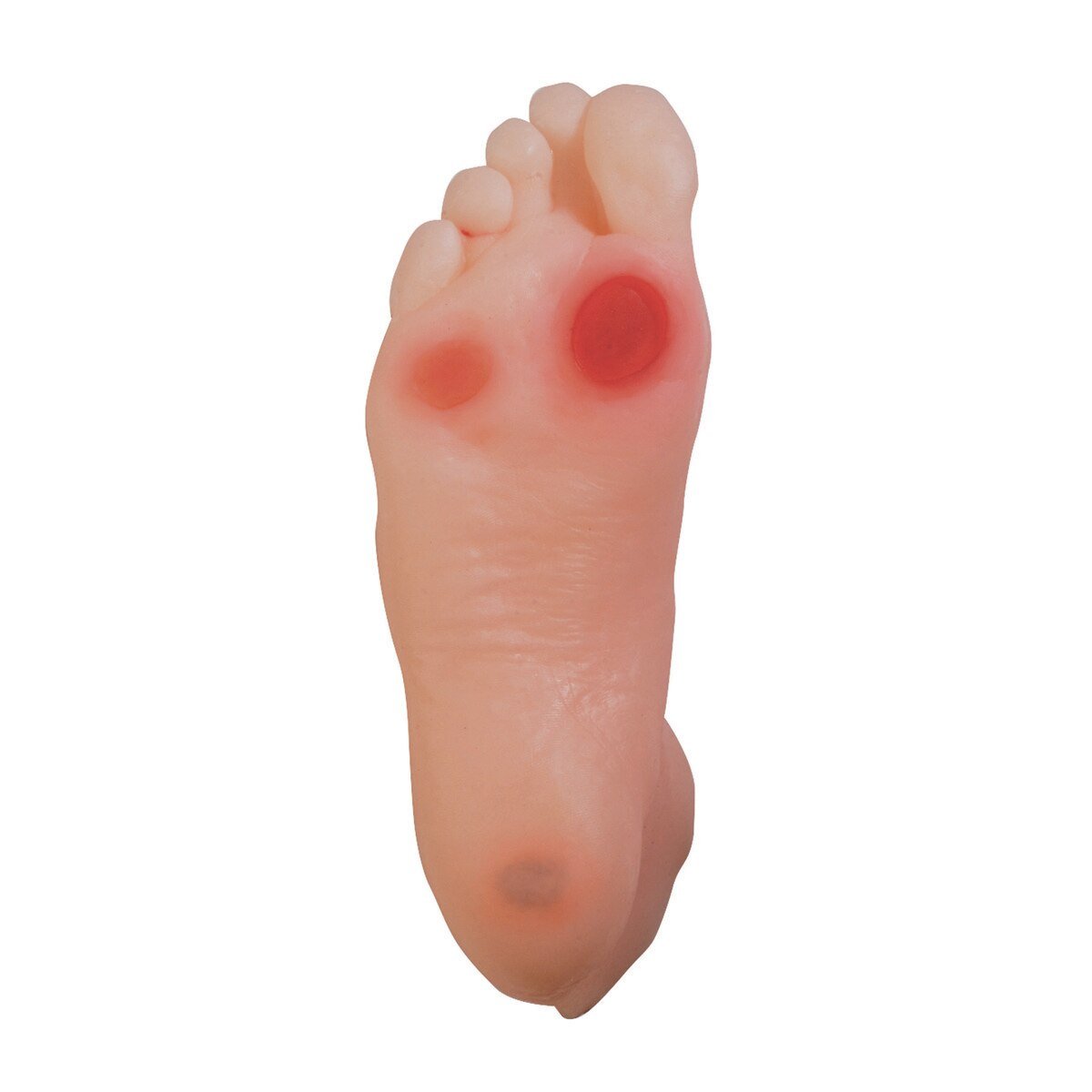 Diabetic Foot Model-Teaching Aids-Birth Supplies Canada