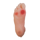 Diabetic Foot Model-Teaching Aids-Birth Supplies Canada