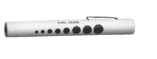 Disposable Penlight with pupil gauge-Diagnostics-Birth Supplies Canada