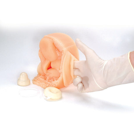 Female Contraceptive Model-Teaching Aids-Birth Supplies Canada