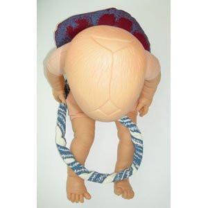 Fetal Doll with umbilical cord & placenta-Teaching Aids-Birth Supplies Canada