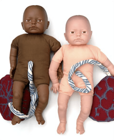 Fetal Doll with umbilical cord & placenta-Teaching Aids-Birth Supplies Canada