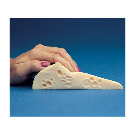 Fibrocystic Breast Self-Exam (BSE) Model-Teaching Aids-Birth Supplies Canada