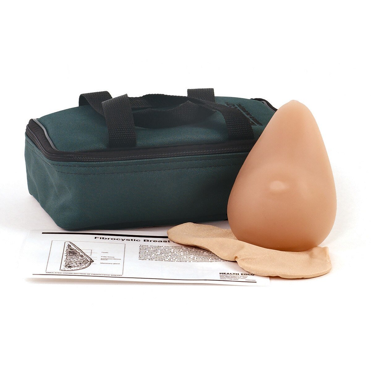 Fibrocystic Breast Self-Exam (BSE) Model-Teaching Aids-Birth Supplies Canada