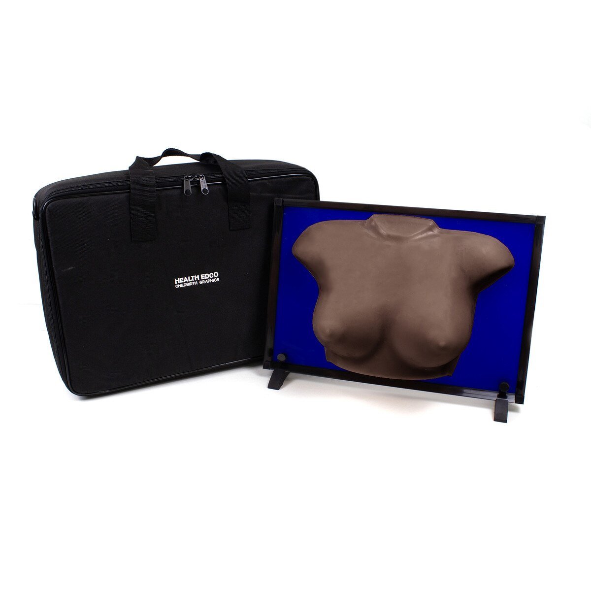 Group Breast Self-Exam (BSE) Training Model | Palpable Lumps-Teaching Aids-Birth Supplies Canada