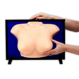 Group Breast Self-Exam (BSE) Training Model | Palpable Lumps-Teaching Aids-Birth Supplies Canada