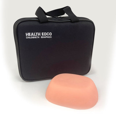 Injection Teaching Model-Teaching Aids-Birth Supplies Canada