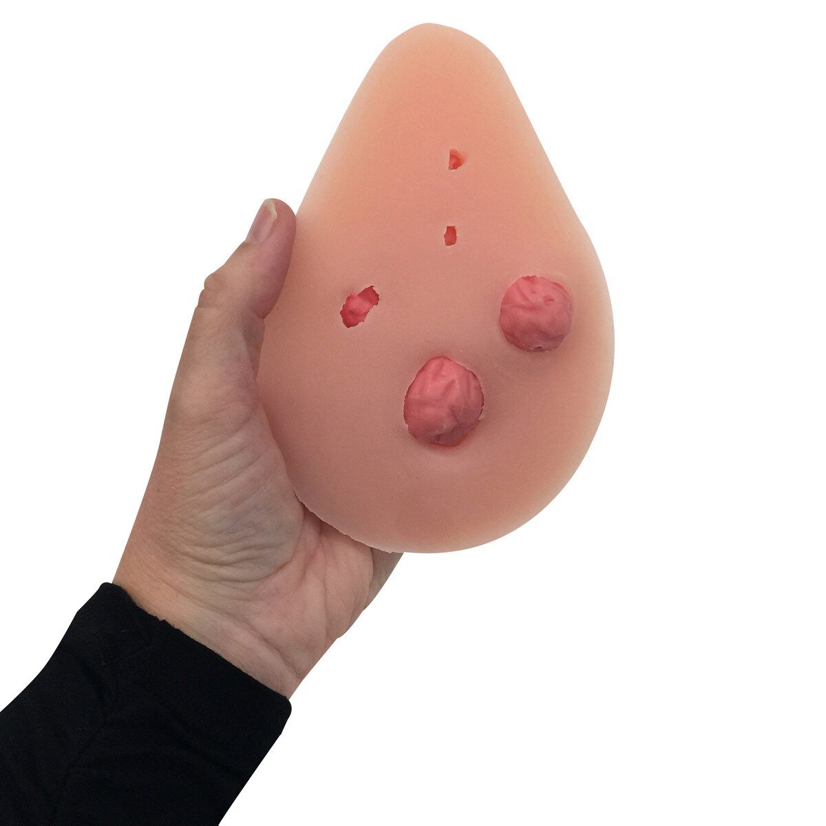 Interchangeable Nodules BSE Model | Lifelike Tissue-Teaching Aids-Birth Supplies Canada