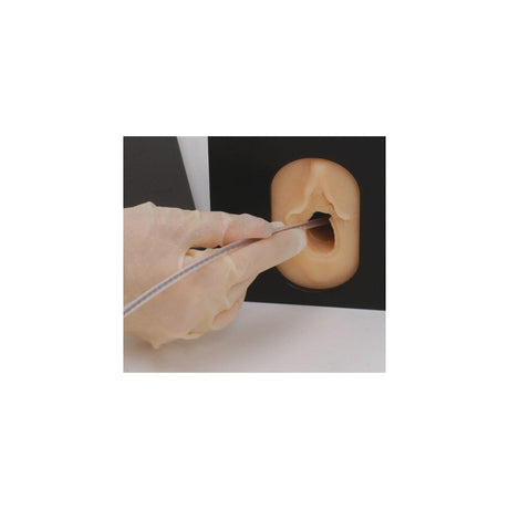 Internal Fetal Monitor Trainer-Teaching Aids-Birth Supplies Canada