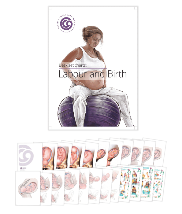 Labour & Birth Charts – Desk Set Series-Teaching Aids-Birth Supplies Canada