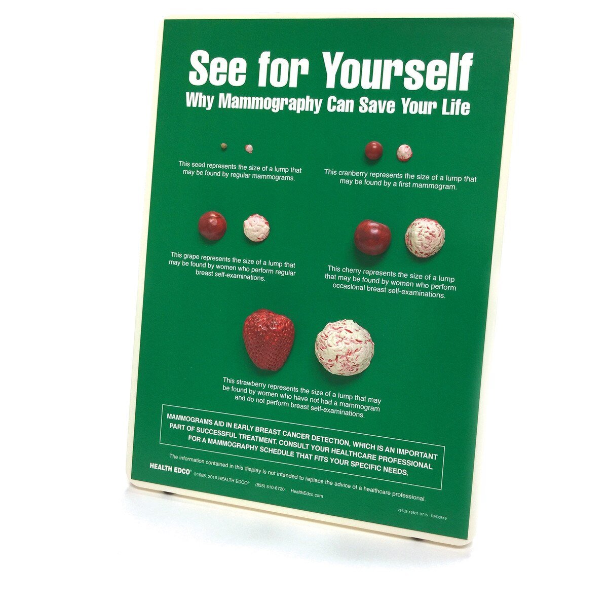 Mammography Easel Display (9 in x 12 in) | Early Breast Cancer Detection-Teaching Aids-Birth Supplies Canada