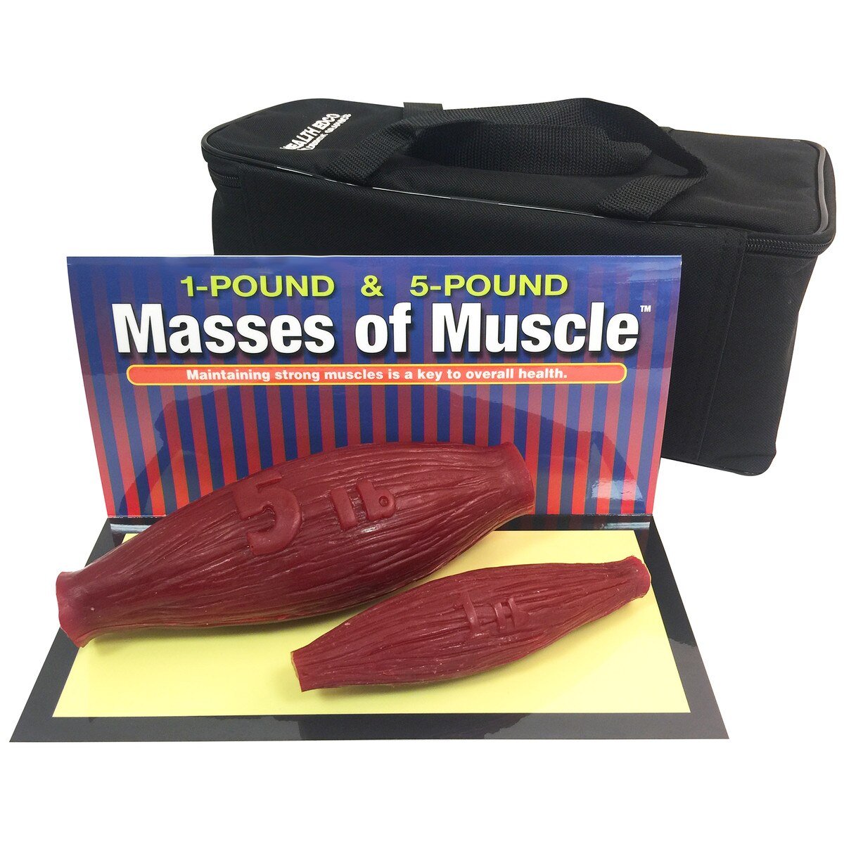 Masses Of Muscle Model Set (1 lb and 5 lb)-Teaching Aids-Birth Supplies Canada