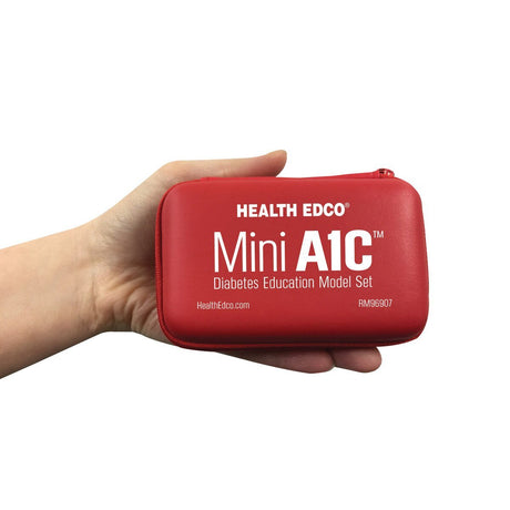 Mini A1C™ Diabetes Education Model Set-Teaching Aids-Birth Supplies Canada