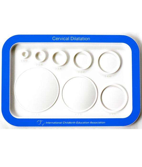 Moulded Plastic Cervical Dilatation Chart-Teaching Aids-Birth Supplies Canada