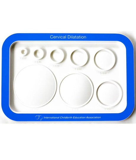 Moulded Plastic Cervical Dilatation Chart-Teaching Aids-Birth Supplies Canada