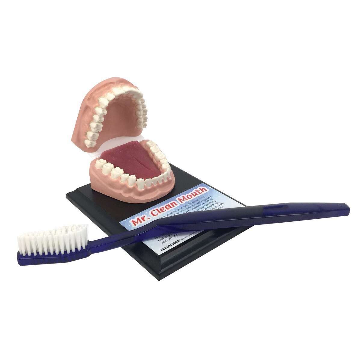 Mr Clean Mouth with Giant Toothbrush-Birth Supplies Canada