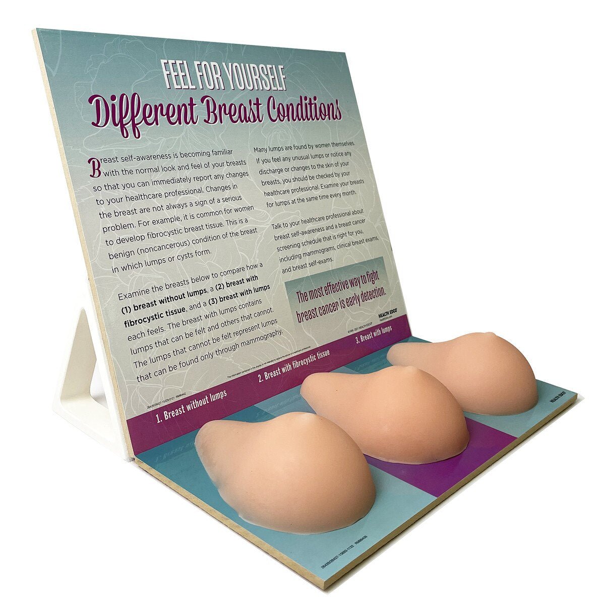 Multi-Type BSE Model Display, English/Spanish-Teaching Aids-Birth Supplies Canada