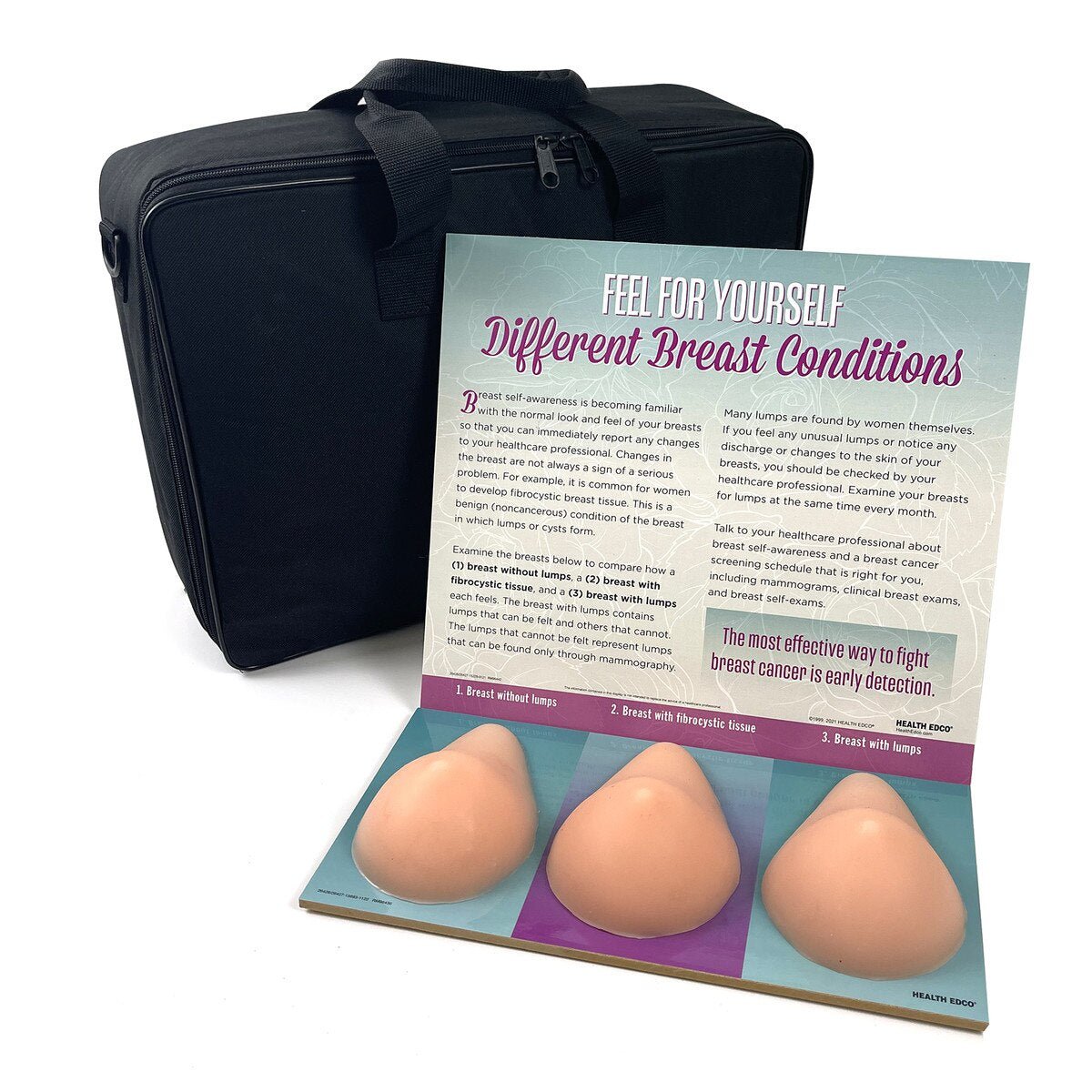 Multi-Type BSE Model Display, English/Spanish-Teaching Aids-Birth Supplies Canada