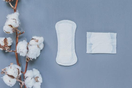 Natracare Panty Liners ~ Light Flow-Postpartum Supplies-Birth Supplies Canada