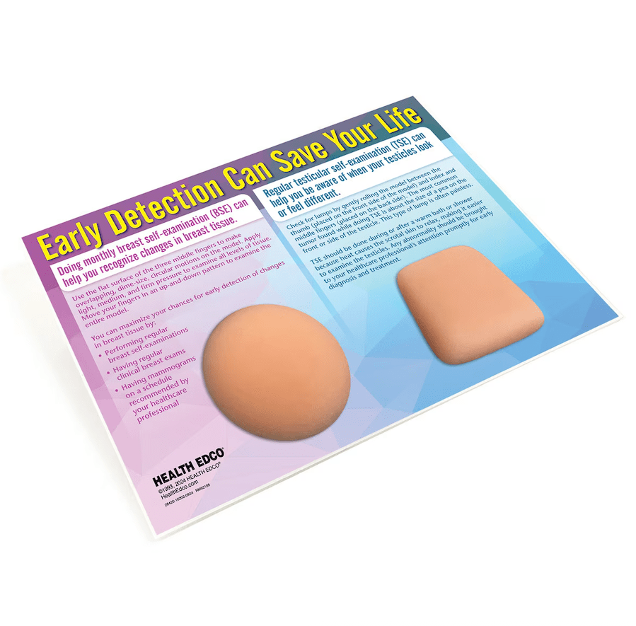 Nonsexual BSE/TSE Education Model | Breast & Testicular-Teaching Aids-Birth Supplies Canada