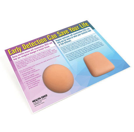 Nonsexual BSE/TSE Education Model | Breast & Testicular-Teaching Aids-Birth Supplies Canada