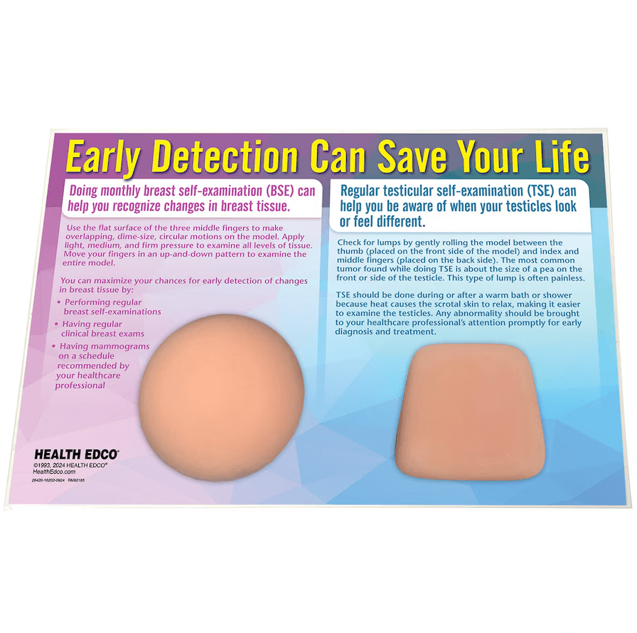 Nonsexual BSE/TSE Education Model | Breast & Testicular-Teaching Aids-Birth Supplies Canada
