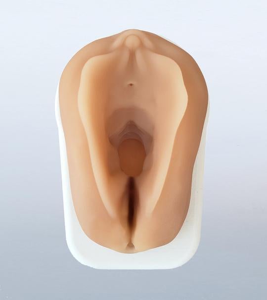 Obstetrics Anal Sphincter Injury Suturing Model ~ DISCONTINUED-Teaching Aids-Birth Supplies Canada