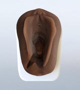 Perineum Injury Suturing Model-Teaching Aids-Birth Supplies Canada