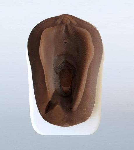 Perineum Injury Suturing Model-Teaching Aids-Birth Supplies Canada