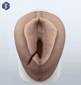 Perineum Injury Suturing Model-Teaching Aids-Birth Supplies Canada