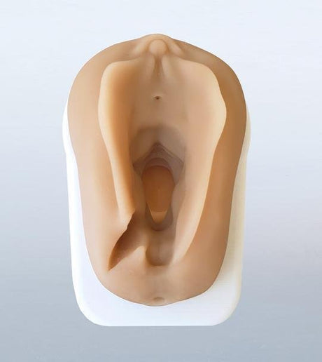 Perineum Injury Suturing Model-Teaching Aids-Birth Supplies Canada