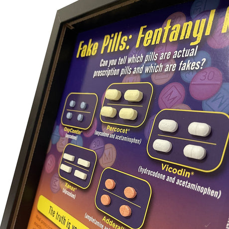 Pill Awareness 3-D Educational Display-Teaching Aids-Birth Supplies Canada