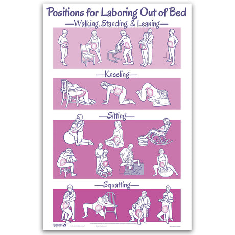 Positions for Laboring Out of Bed Chart-Teaching Aids-Birth Supplies Canada