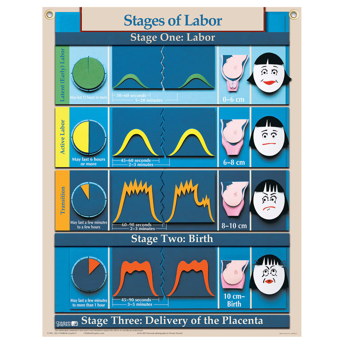 Six Essential Labor and Birth Charts (6), English/Spanish-Teaching Aids-Birth Supplies Canada