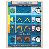 Six Essential Labor and Birth Charts (6), English/Spanish-Teaching Aids-Birth Supplies Canada