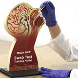Swab Test Training Model – Nasopharyngeal & Oral Cavity Trainer-Teaching Aids-Birth Supplies Canada