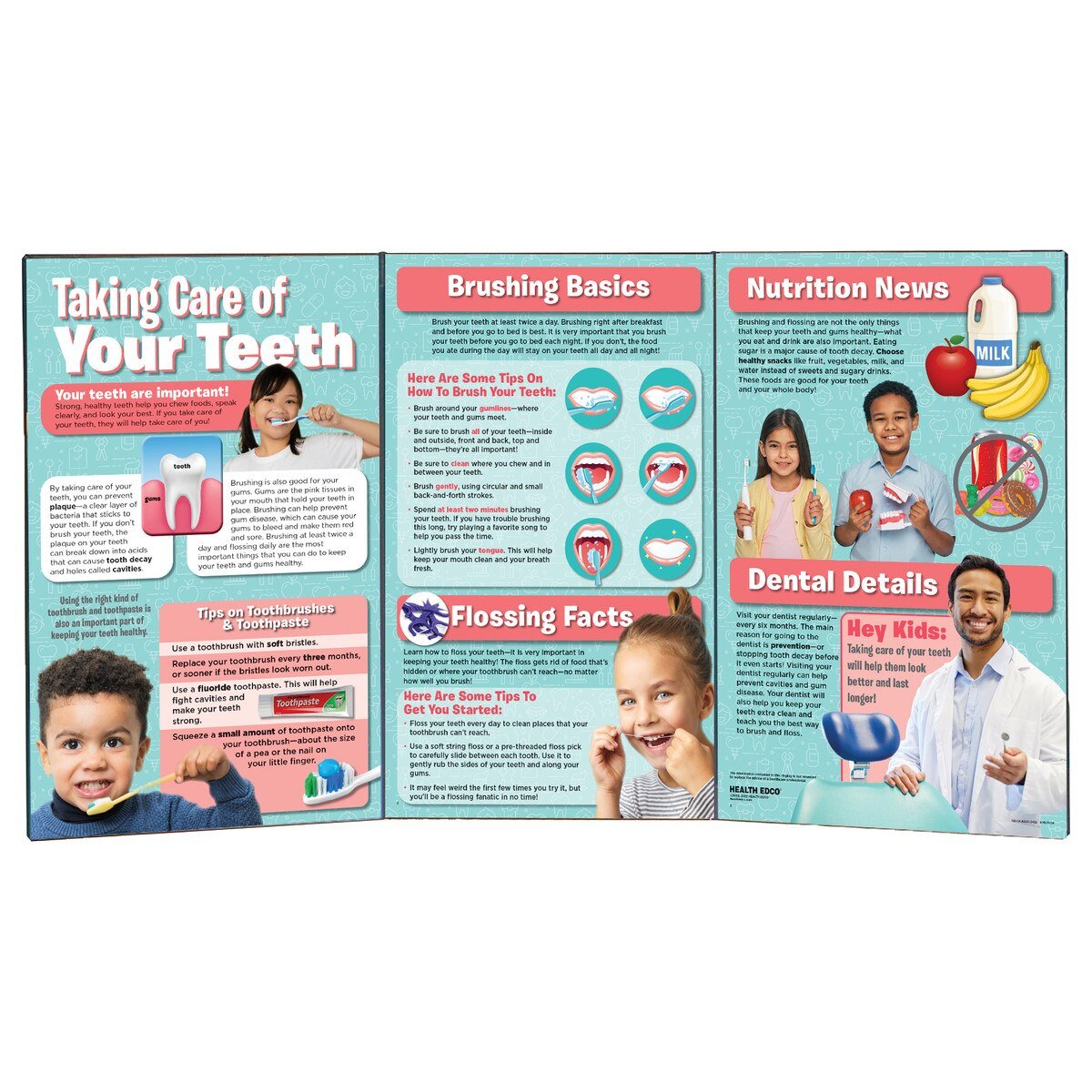 Taking Care of Your Teeth Folding Display-Birth Supplies Canada