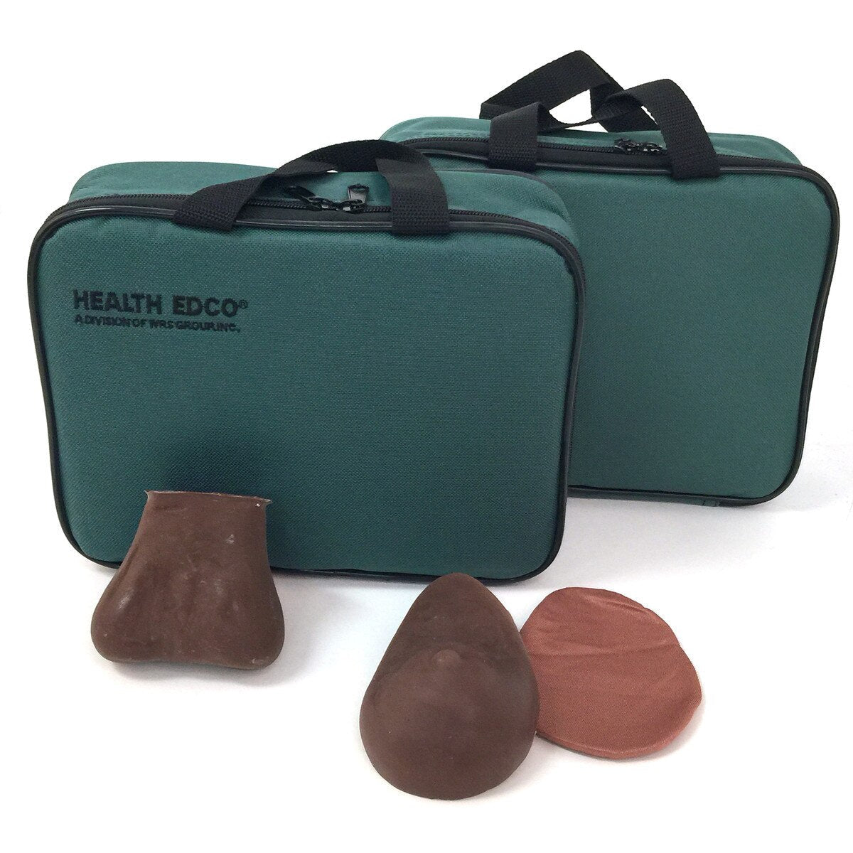 Teen BSE/TSE Model Kit | Breast & Testicular-Teaching Aids-Birth Supplies Canada