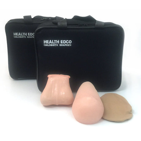 Teen BSE/TSE Model Kit | Breast & Testicular-Teaching Aids-Birth Supplies Canada
