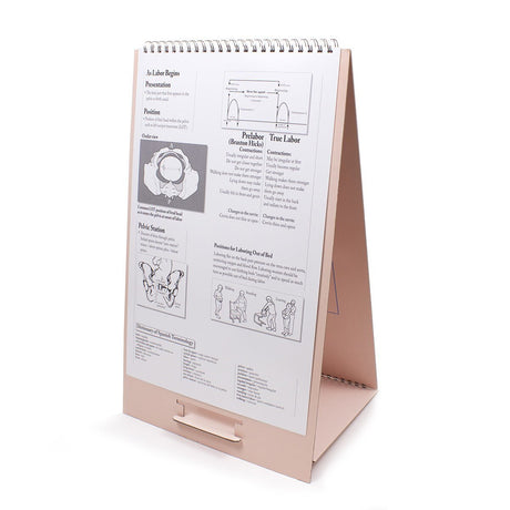The Process of Giving Birth Flip Chart, English/Spanish-Teaching Aids-Birth Supplies Canada