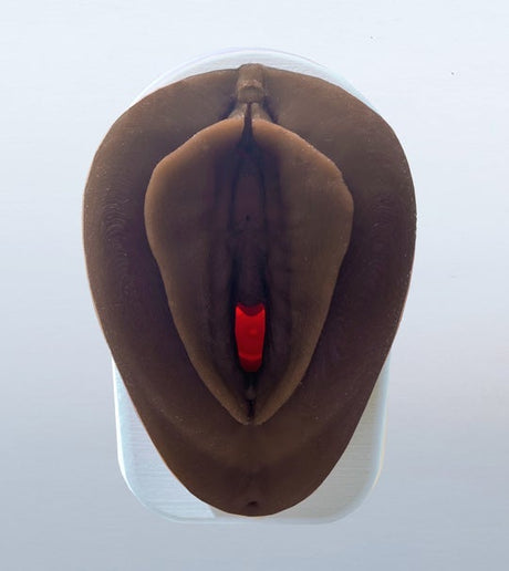 Vulva Model with Vaginal Canal | Healthcare Teaching Aid-Teaching Aids-Birth Supplies Canada