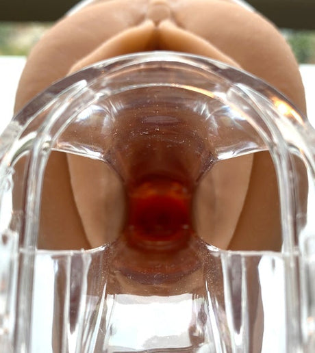 Vulva Model with Vaginal Canal | Healthcare Teaching Aid-Teaching Aids-Birth Supplies Canada