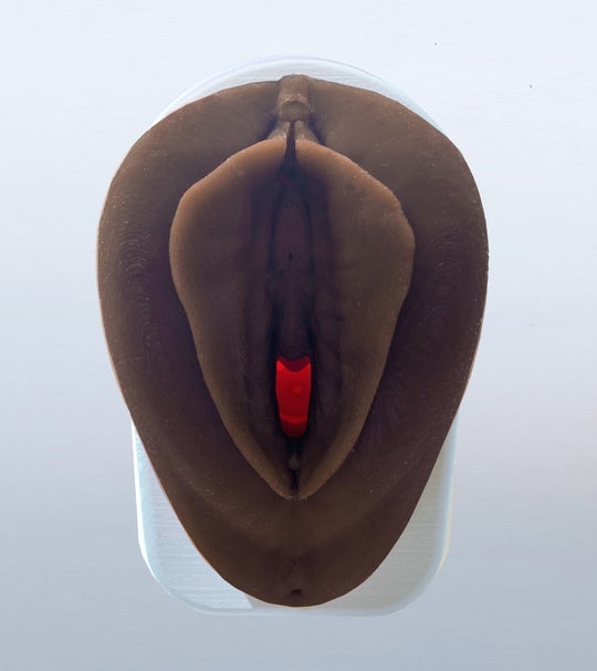 Vulva Model with Vaginal Canal-Teaching Aids-Birth Supplies Canada