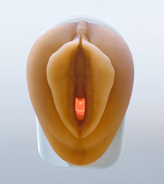Vulva Model with Vaginal Canal-Teaching Aids-Birth Supplies Canada