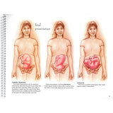 With Child™ Desk Version – 78-Page Prenatal Education Book-Teaching Aids-Birth Supplies Canada