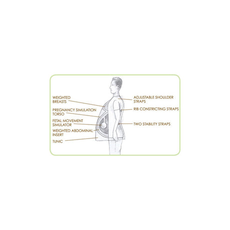 With Child™ Pregnancy Simulator – Teaching Model-Teaching Aids-Birth Supplies Canada